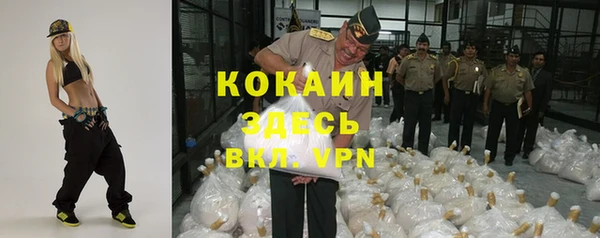 ешки Алексин