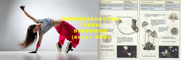 дживик Алексеевка
