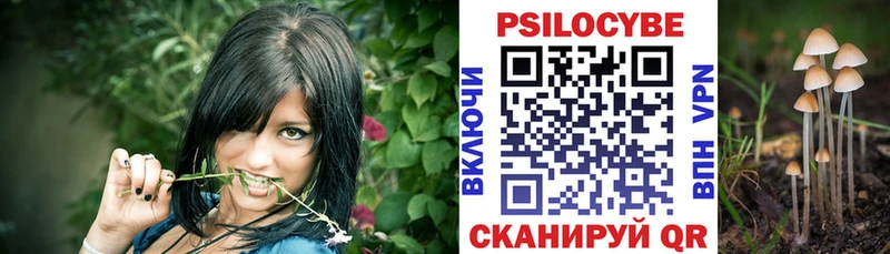 Псилоцибиновые грибы Psilocybine cubensis  Палласовка 